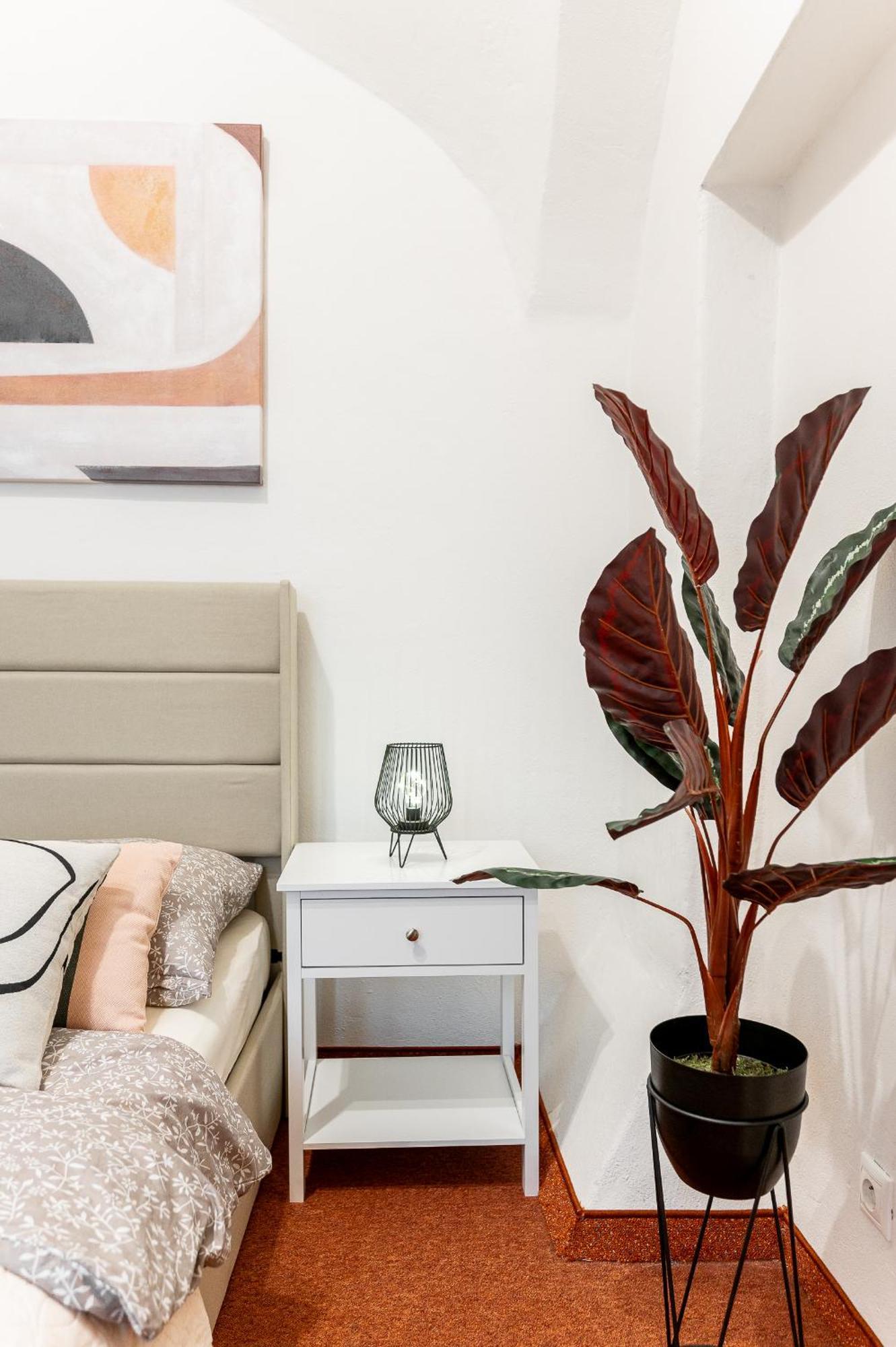 K1 Piatok Sobota Disco Cez Tyzden Tichy Apartman Košice Extérieur photo